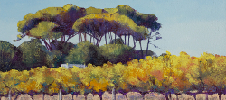Groot Constantia Autumn Vines | 2020 | Oil on Canvas | 36 x 51 cm